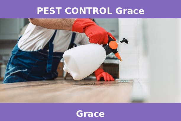 PEST CONTROL Grace